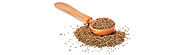 The Must Have Indian Spice from Spice Village in Germany: Carom Seeds or Ajwain