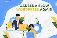 What Causes a Slow WordPress Admin and How To Fix It - Flipper Code
