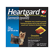 Heartgard Plus for Dogs Heartwormers Treatment - DiscountPetMart.com