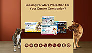 Looking For More Protection For Your Canine Companion? - DiscountPetMart