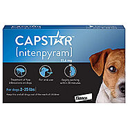 Capstar for Dogs Flea & Tick Treatment - DiscountPetMart.com