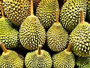 Durian (Tu-Rian)