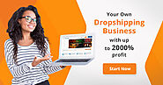 TheGreatBazar.Best Business OnLine For You - AliExpress Dropshipping Business Today!Alidropship