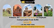 Witness the Sunrise Taj Mahal & Elephant Conservation from Delhi