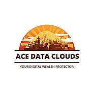 Website at https://www.ace-data.com/cloud-backup-pricing-guide