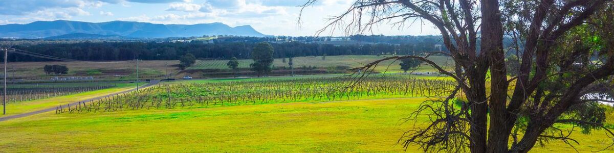 Headline for Family-friendly activities in Hunter Valley – Things to enjoy with kids!