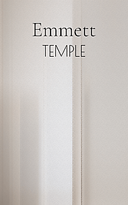 Temple: Fine Artist 21st Century Art Portfolio