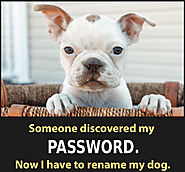Tips for Selecting & Managing Passwords