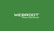 Staying Safe While Online | Webroot