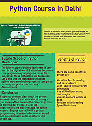 Python Institute In Delhi Infographic Template