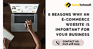 6 Reasons Why an E-Commerce Website is Important for Your Business