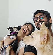 Best Pet Sitters in Electronic City
