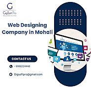 Web Designing Company in Mohali - Gigsoft Pro
