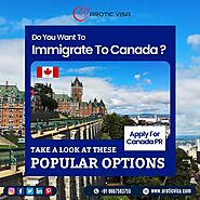 Apply For Canada Pr Through Various Options.