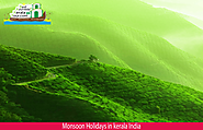 Monsoon Holidays in Kerala India