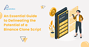 An Essential Guide to Delineating the Potential of a Binance Clone Script