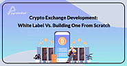 Crypto Exchange Development: White Label Vs. Building One From Scratch
