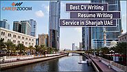 #1 CV Distribution Company in Dubai for Marketing Experts