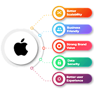 Hire Ios App Developers in India || Ios App Developers For Hire
