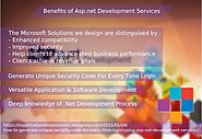 Secured Asp.net application development services