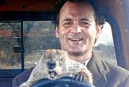 Groundhog Day Quotes