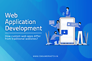 What is Custom Web Application Development?