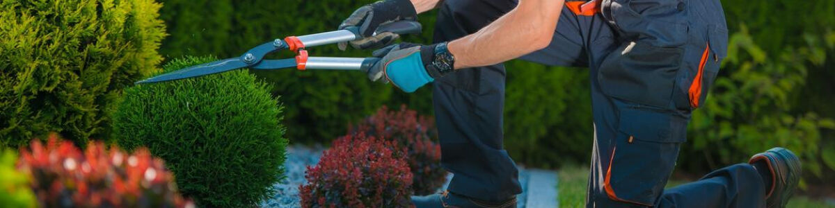 Headline for Top 5 house and garden improvement services