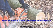 How to Find a Good Tree Temoval Service