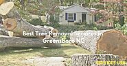 Best Tree Removal Services in Greensboro NC