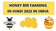 HONEY BEE FARMING GUIDE IN HINDI » INDIA's NO. 1 FINANCE