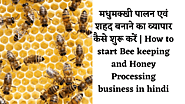 Start Bee keeping business in hindi » INDIA's NO. 1 FINANCE