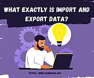 What exactly is import and export data? - Eximpedia