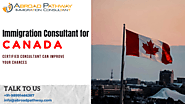 Best Immigration Visa Consultants in Delhi - Canada PR Experts