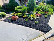 Looking for the Best Landscaping in Clarence, NY?