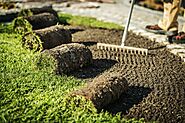 Sod Installation Service in Clarence - Soil and Seed Landscaping NY