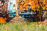 Spring Yard Clean up Services in Clarence - Soil and Seed Landscaping NY