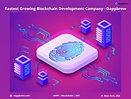 Fastest Growing Blockchain Development Company - Dappbrew