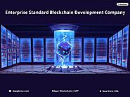 Enterprise Standard Blockchain Development Company - Dappbrew