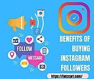 Top Benefits of Buying Instagram Followers and Likes | FanZCart