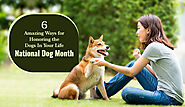 6 Amazing Ways for Honoring the Dogs In Your Life |National Dog Month 2022 - DiscountPetMart