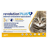 Revolution Plus for Cats Flea & Tick Treatment - DiscountPetMart.com