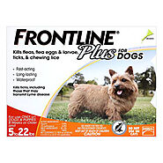 Frontline Plus for Dogs Flea & Tick Treatment - DiscountPetMart.com