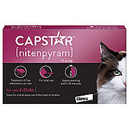 Buy Capstar For Cats 2 - 25 Lbs - Free Shipping