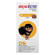 Buy online Bravecto for dogs flea and tick treatment at low price - DiscountPetMart