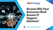 Reasons Why Your Businesses Need Remote IT Support/ Solutions?