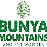 Accommodation Search | Bunya Mountains