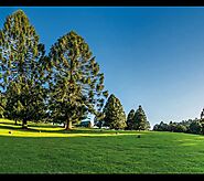 Bunya Mountains | Accommodation Centre