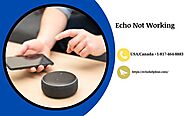 How To Resolve Issue Echo Not Working