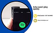 Echo Won't Play Spotify Issues