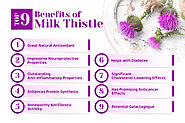 Top Nine Benefits Of Milk Thistle